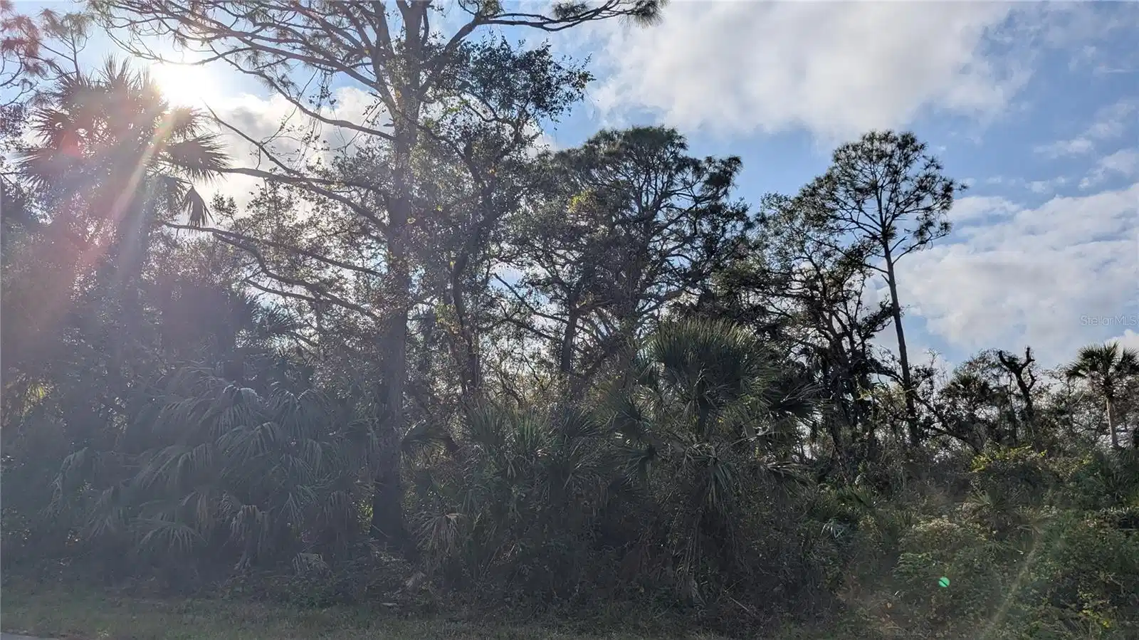 Image 1 Image 1