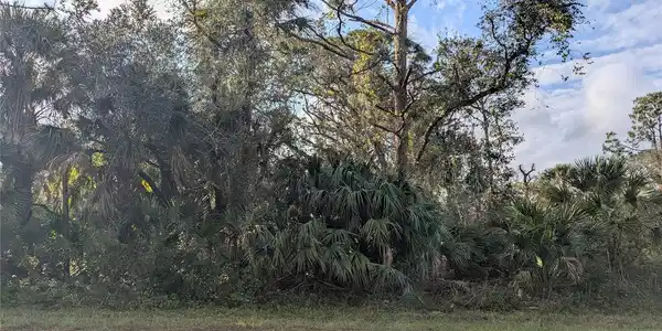 Image 3 Image 3