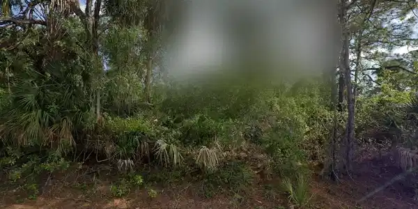 Image 3 Image 3