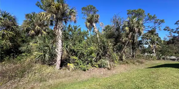 Image 4 Image 4