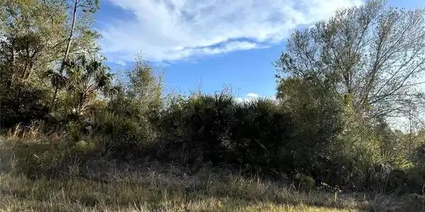Image 3 Image 3