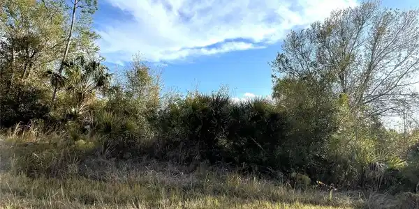 Image 4 Image 4