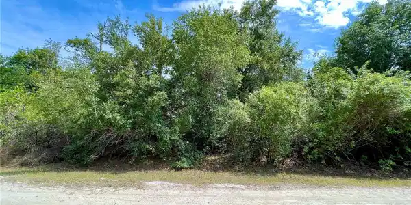 Image 2 Image 2
