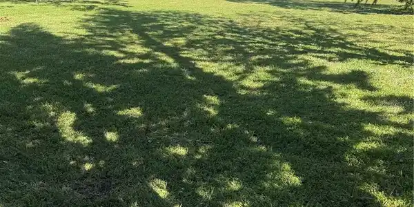 Image 3 Image 3