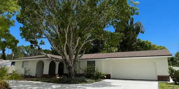8228 CONSTANCE DRIVE