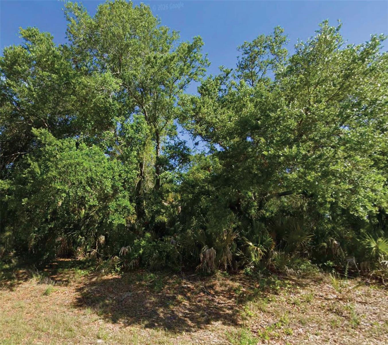 Image 1 Image 1