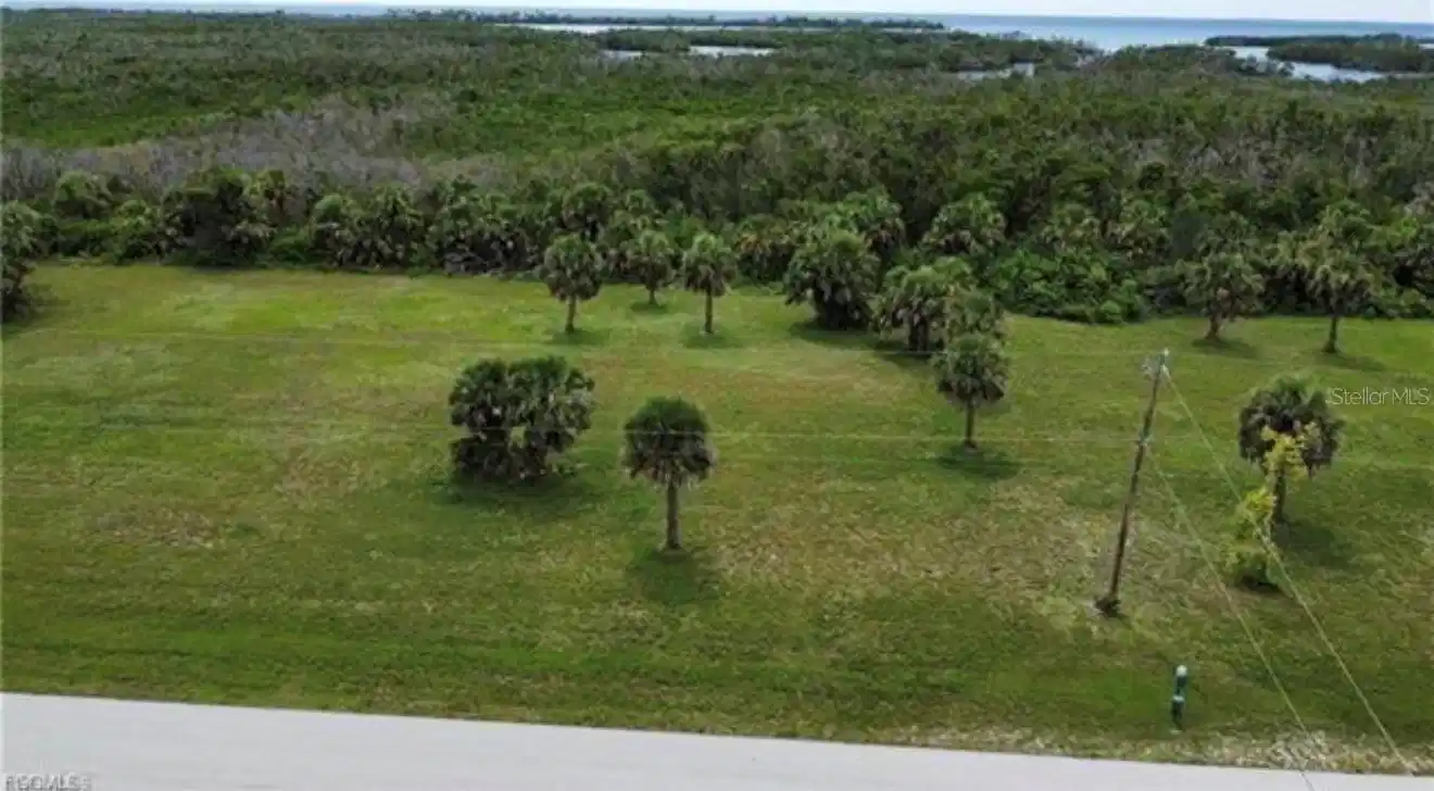 Image 1 Image 1