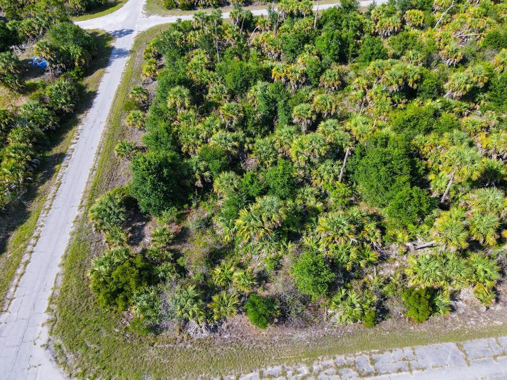 Image 4 Image 4