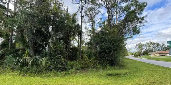 Image 4 Image 4