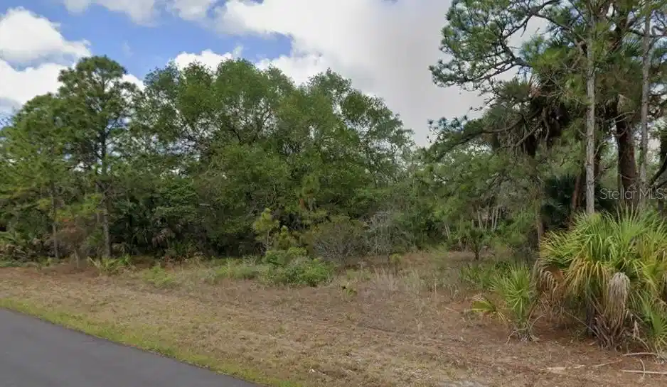 Image 1 Image 1