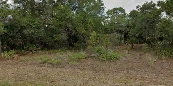 Image 2 Image 2