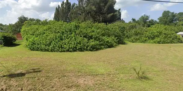Image 4 Image 4