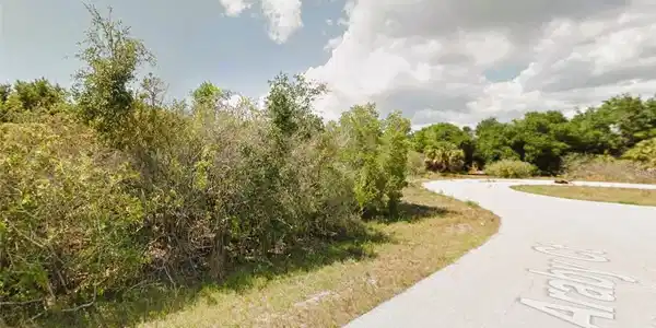 Image 3 Image 3