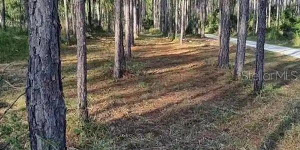 Image 3 Image 3