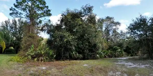 Image 3 Image 3