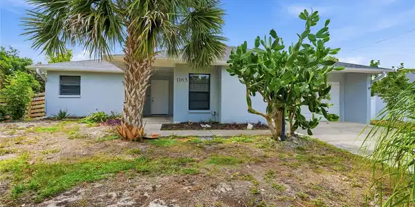 1163 RINGTAIL ROAD