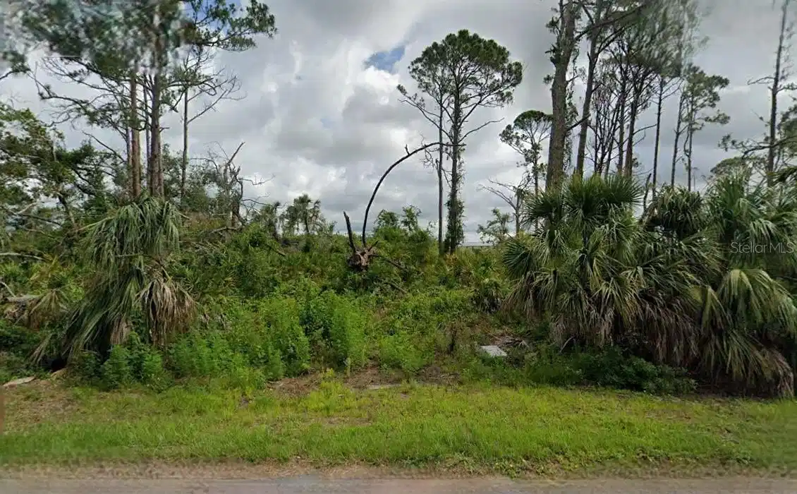 Image 1 Image 1