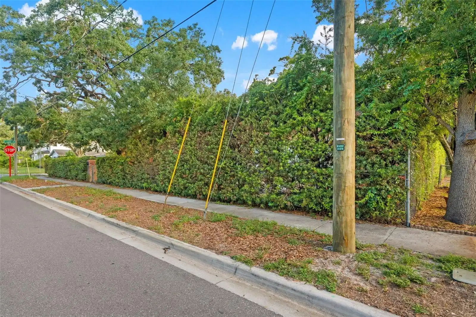 Image 1 Image 1