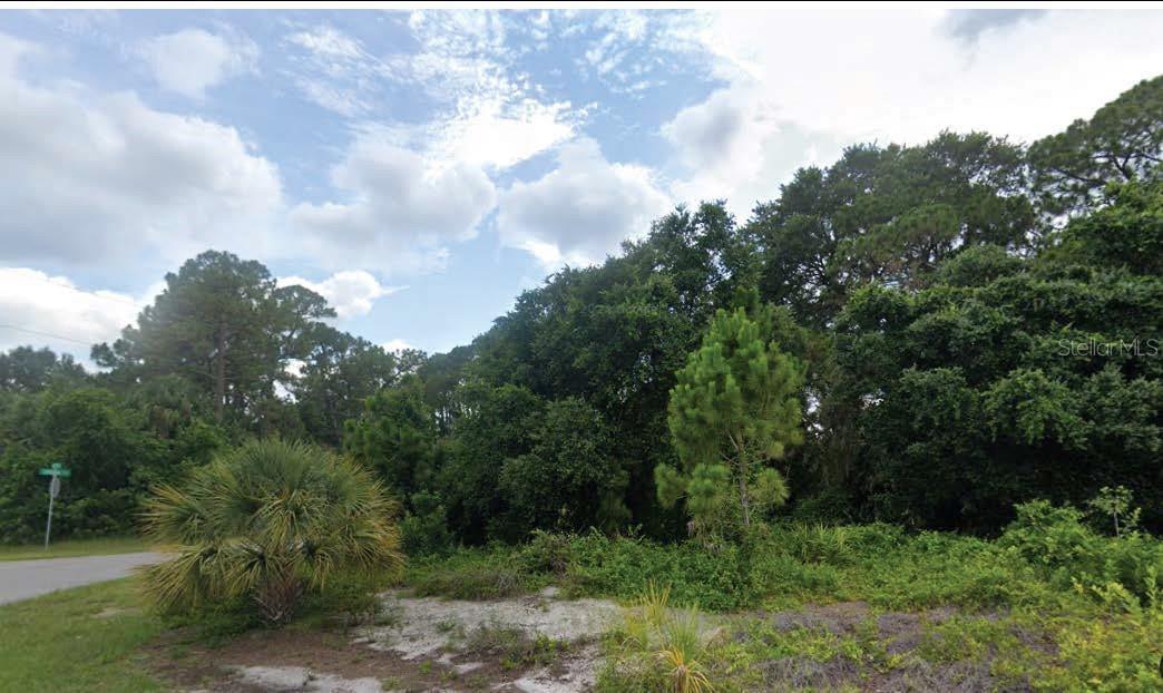 Image 1 Image 1