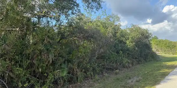 Image 4 Image 4