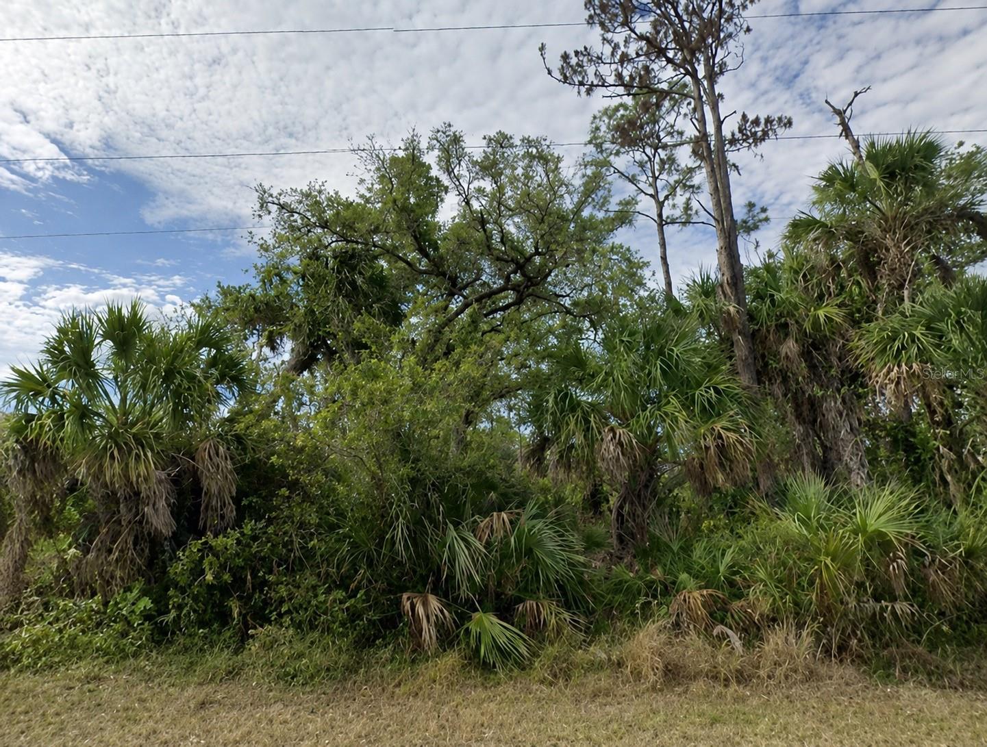Image 4 Image 4