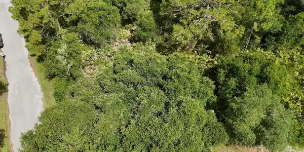 Image 2 Image 2