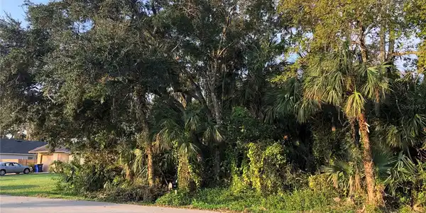 QUEEN PALM DRIVE