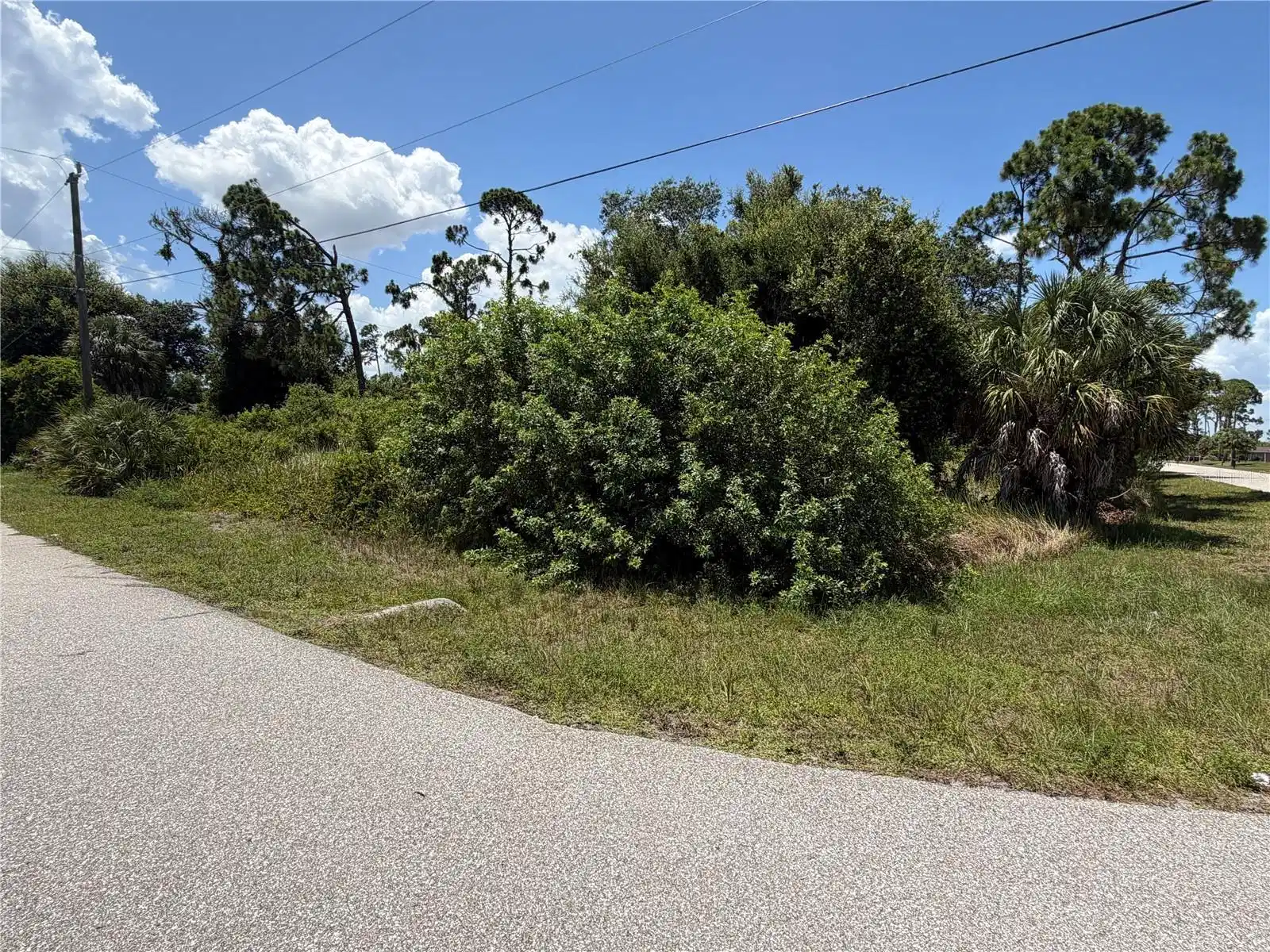 Image 1 Image 1