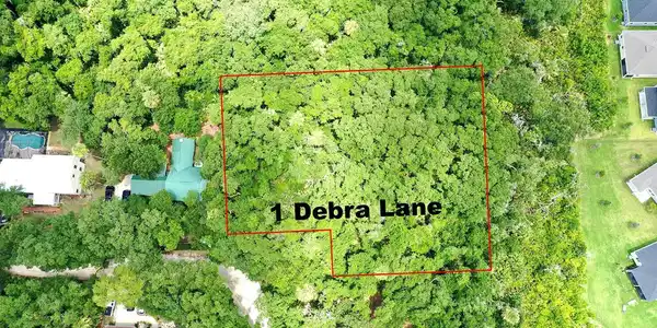 1 DEBRA LANE