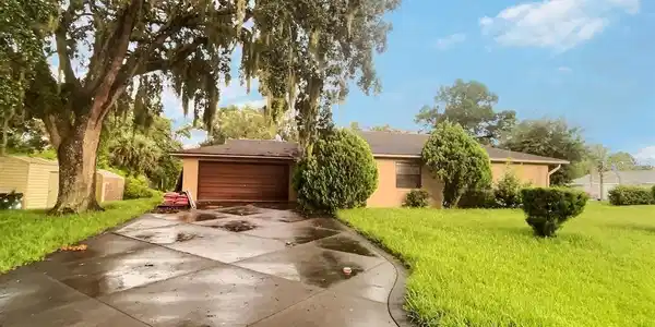 1303 TRAVELERS PALM