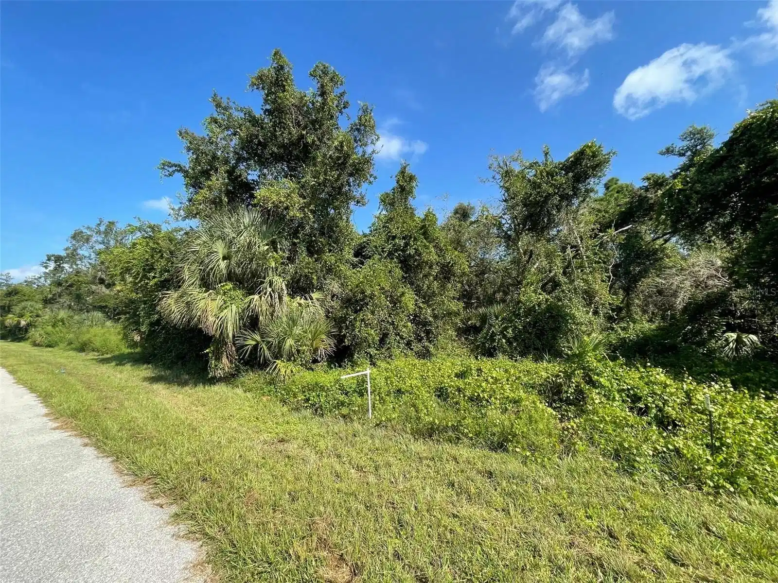 Image 1 Image 1