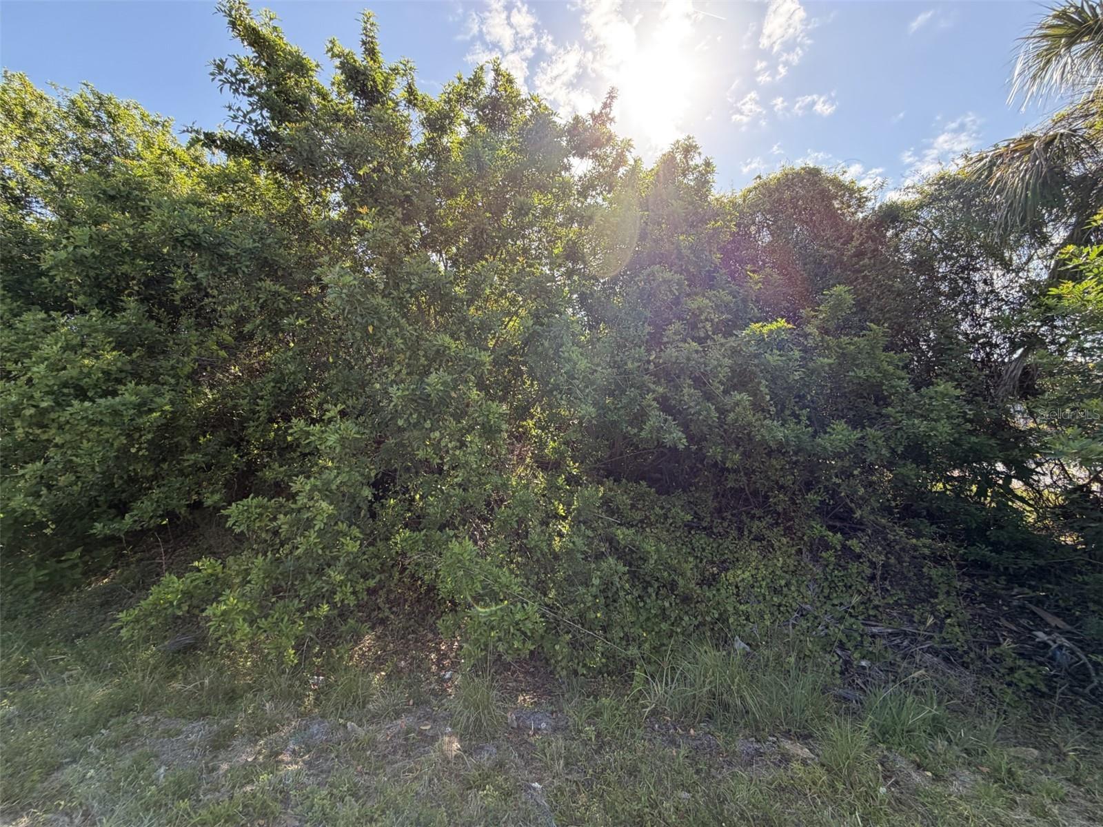 Image 4 Image 4