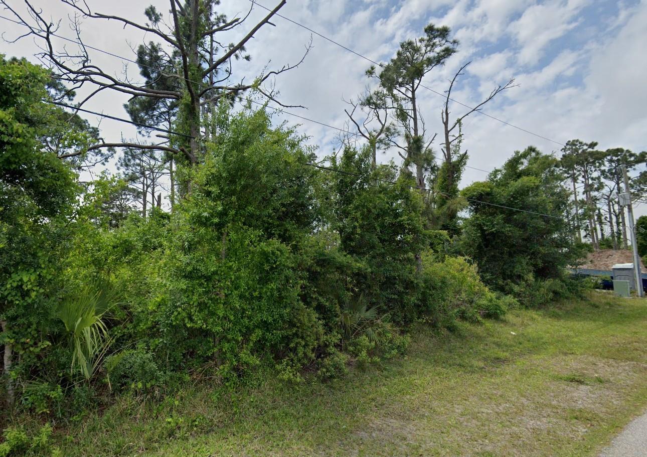 Image 4 Image 4