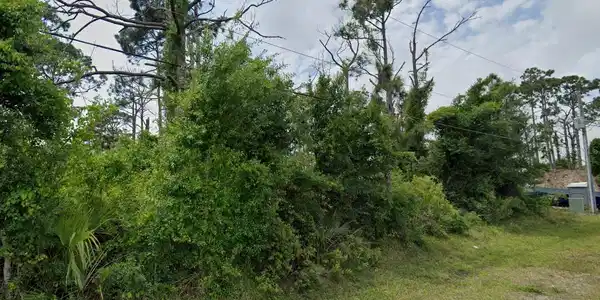 Image 4 Image 4