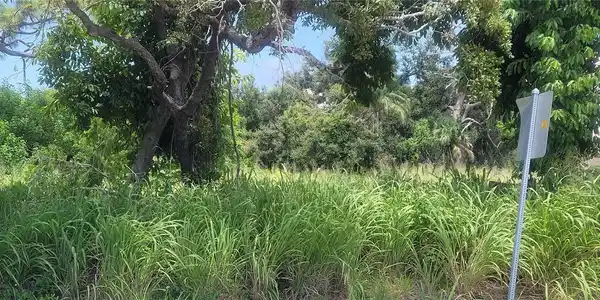 OLD TRAIL