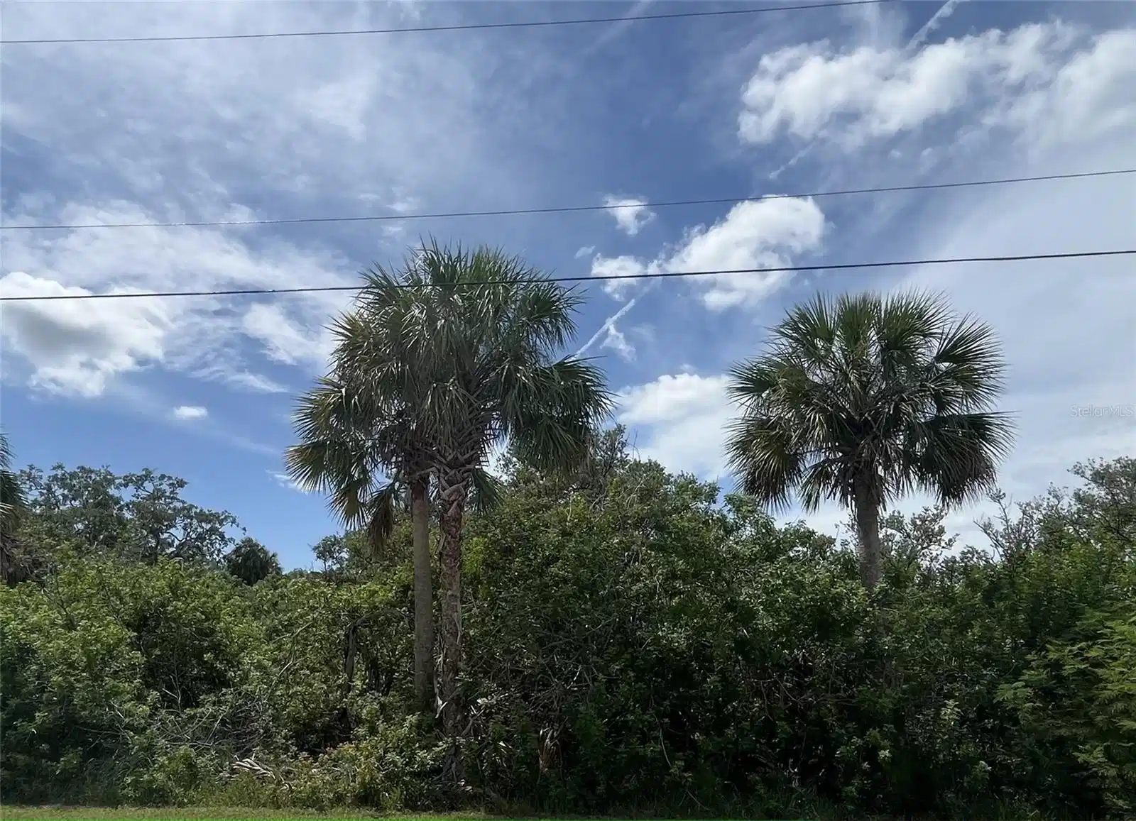 Image 1 Image 1