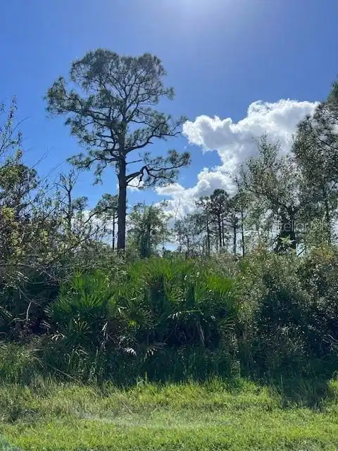 Image 1 Image 1