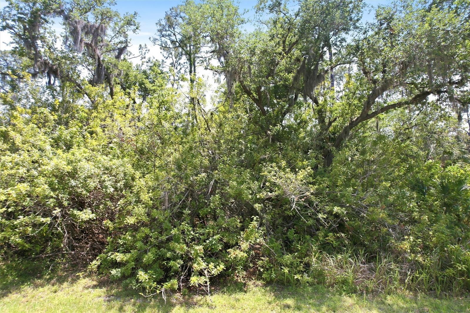 Image 1 Image 1