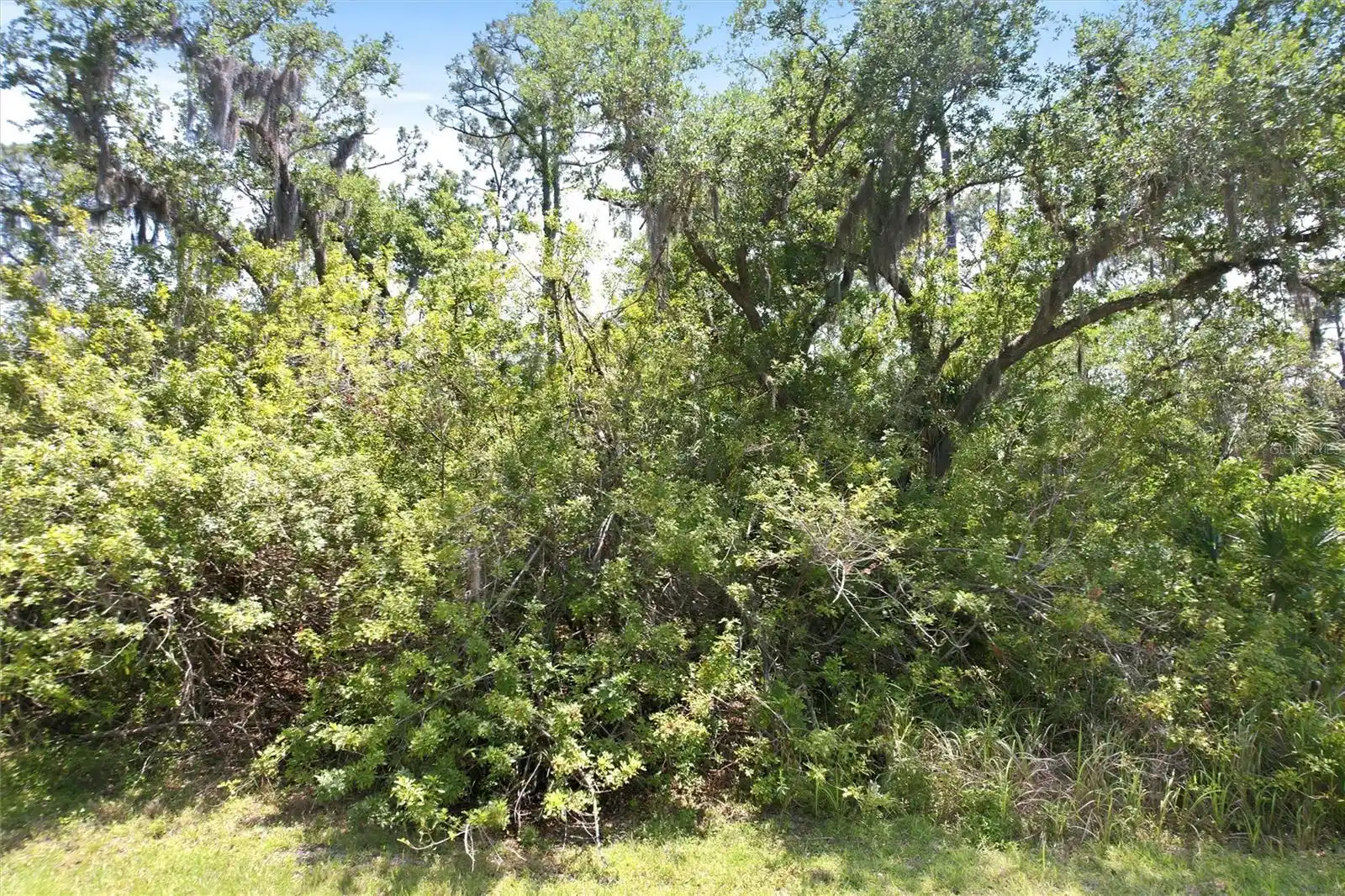 Image 1 Image 1