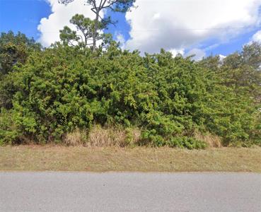 Lot 19 E HILLSBOROUGH BLVD
