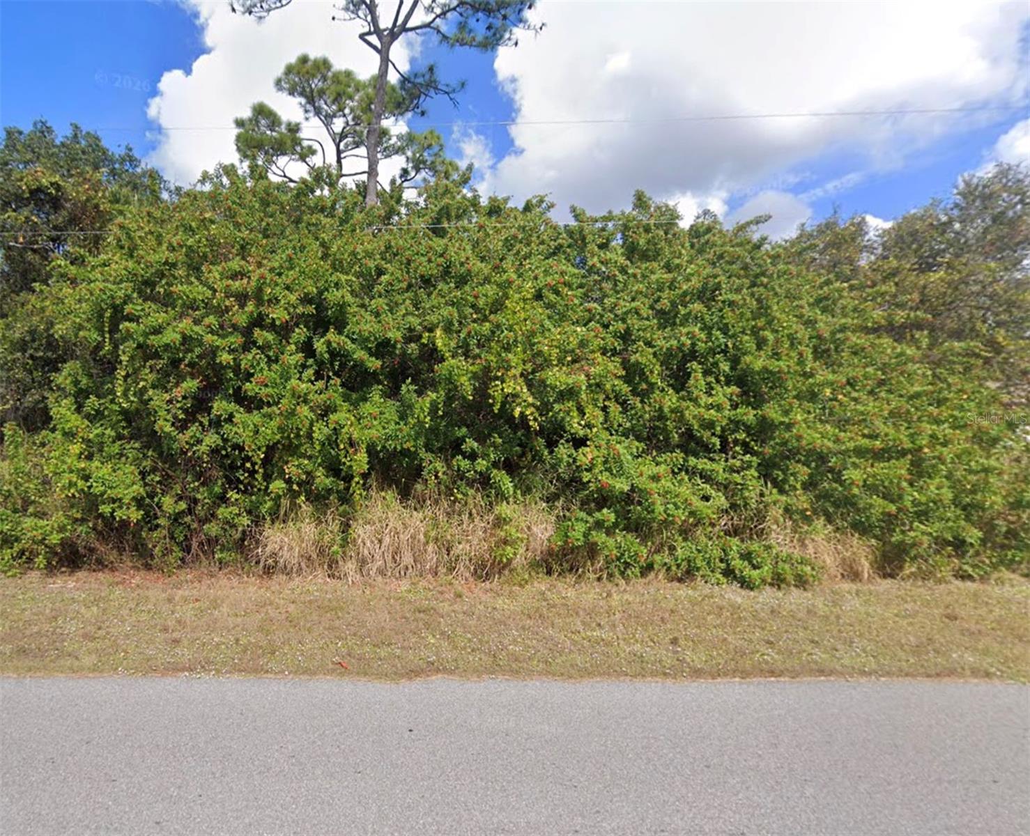 Image 1 Image 1