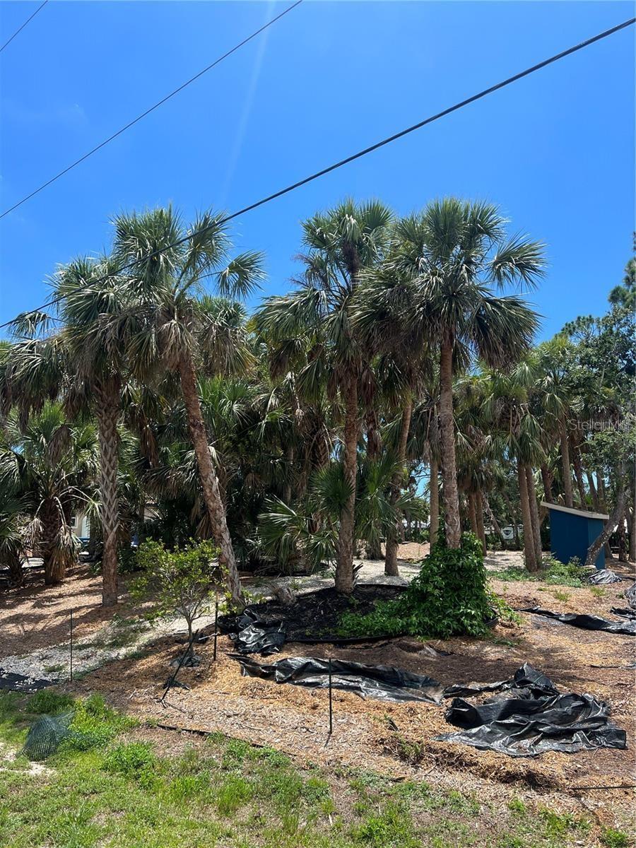 Image 3 Image 3