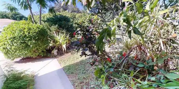 Image 4 Image 4