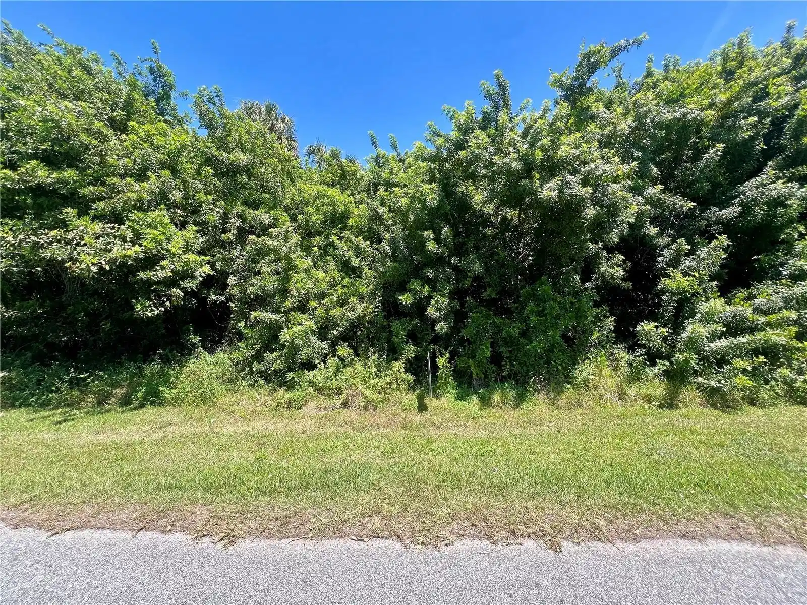 Image 1 Image 1