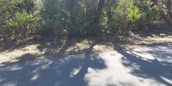 343 BAMBOO DRIVE