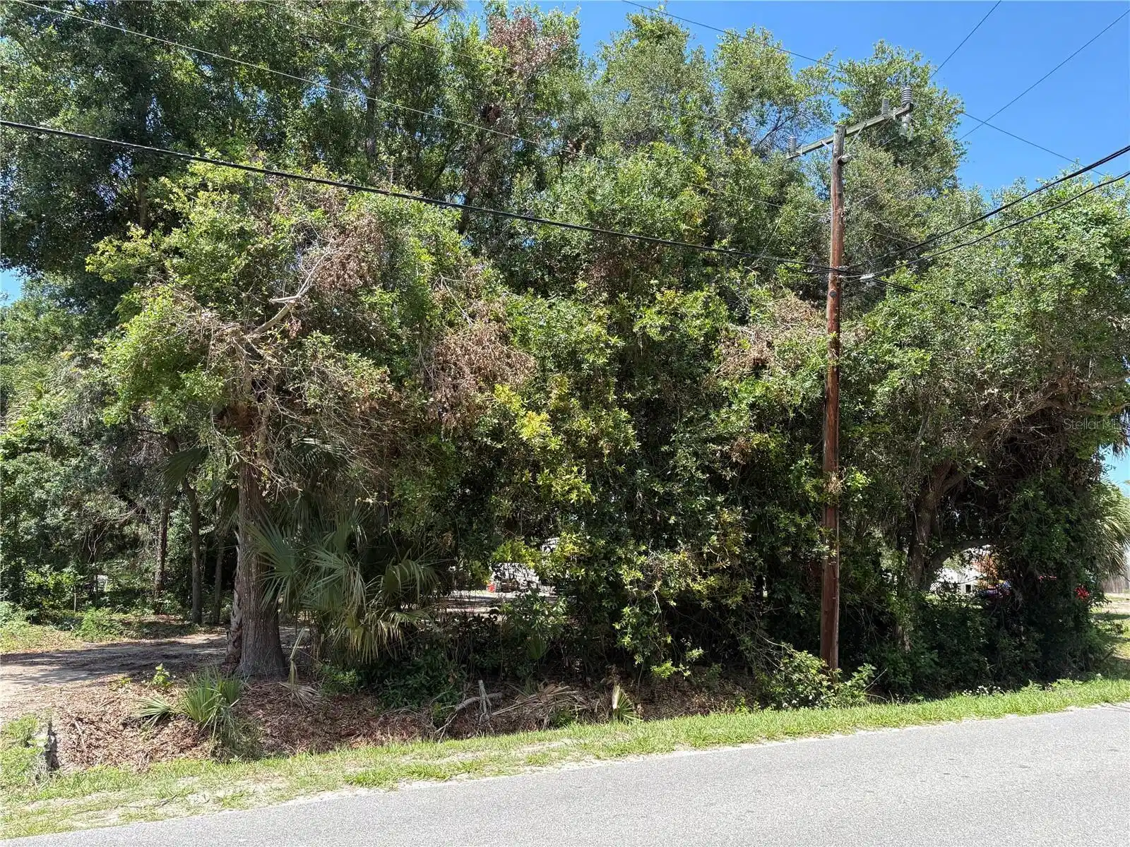 Image 1 Image 1