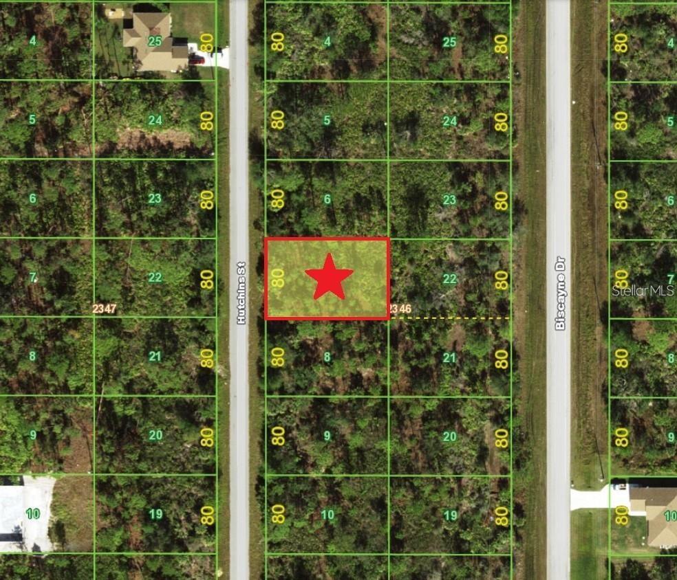 Image 4 Image 4