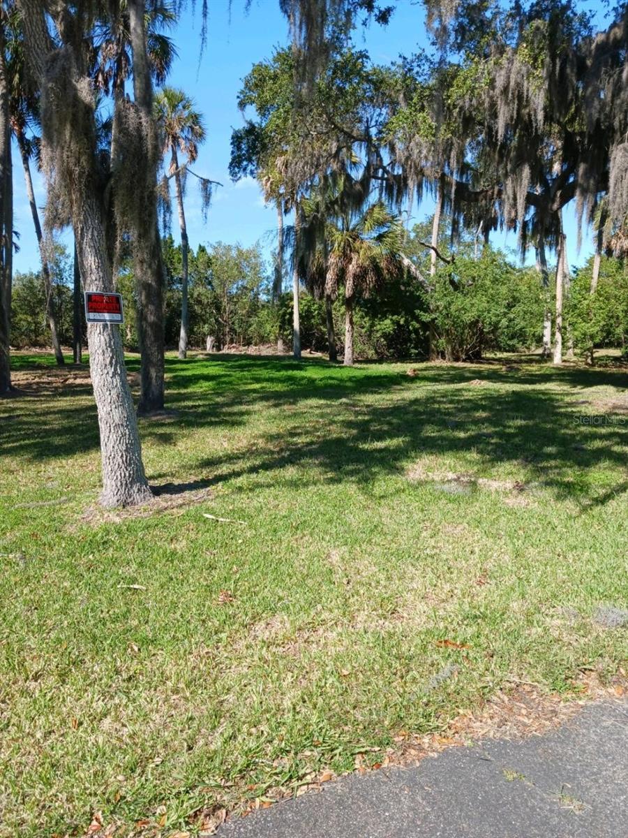Image 3 Image 3