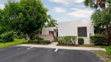 412 PALM TREE