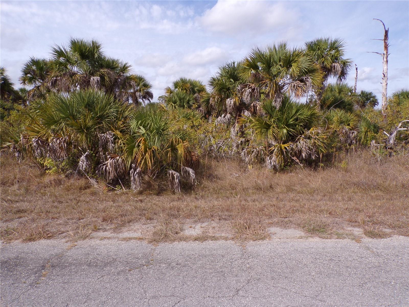 Image 1 Image 1